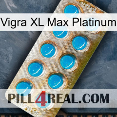 Vigra Xl Max Platinum new09